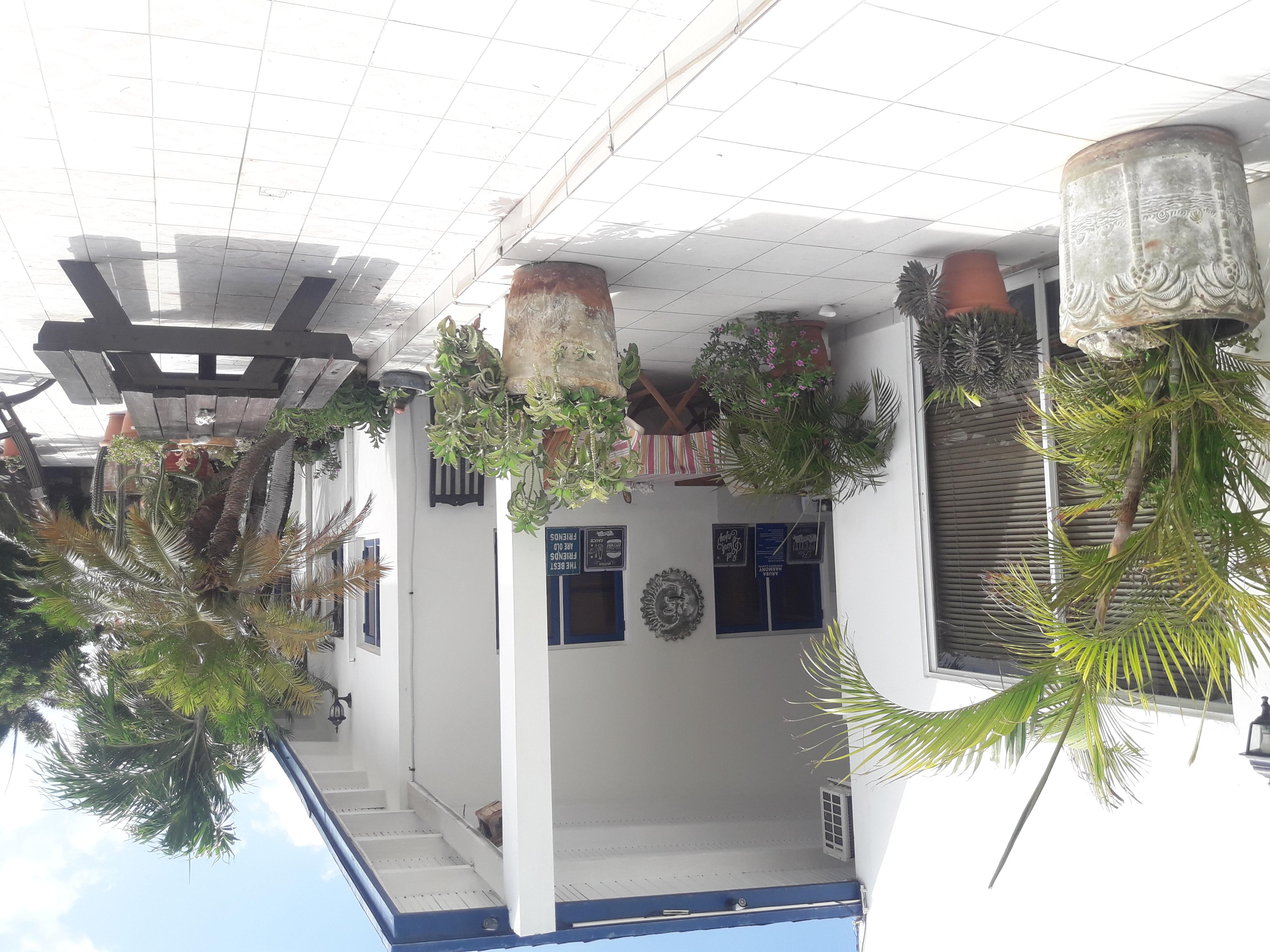 PALMITA Hotel Hostel Apartments Oranjestad Exterior foto